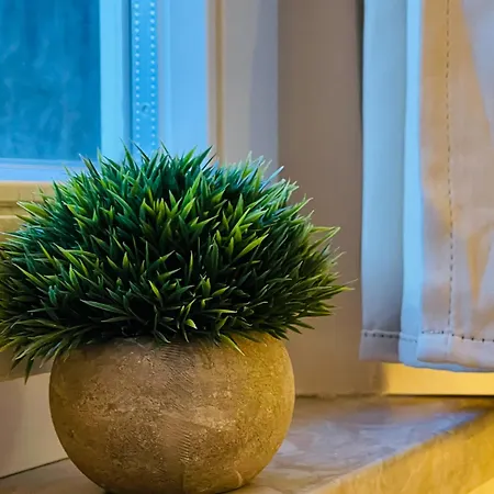 בית אירוח Belino